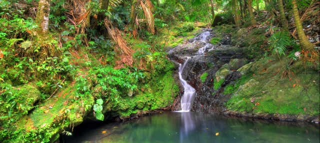 Day Trip to Las Tinajas + El Yunque National Forest