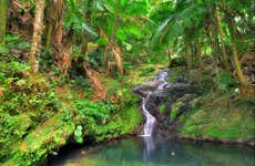 Escursione alle Tinajas e alla Foresta Nazionale El Yunque