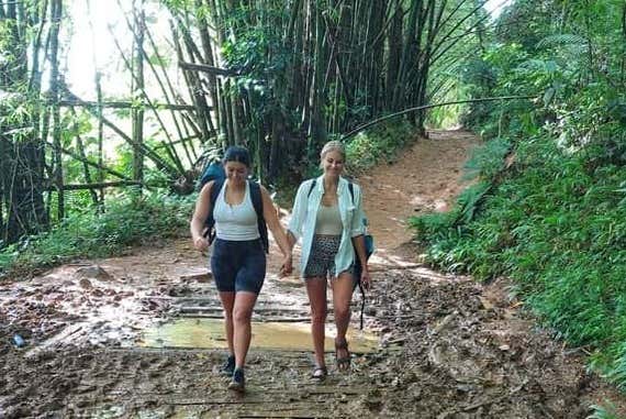 Caminhando pelo Bosque Nacional El Yunque
