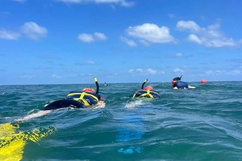 Snorkeling di gruppo
