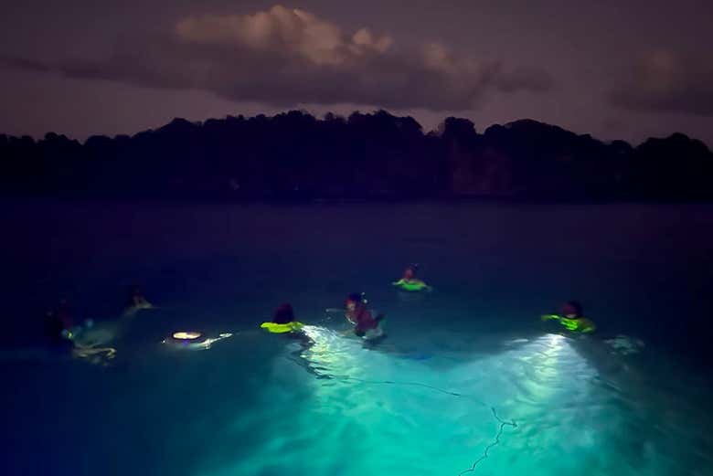 Plongée nocturne