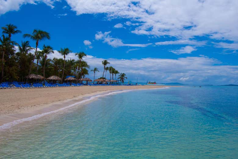 Ilha Palomino
