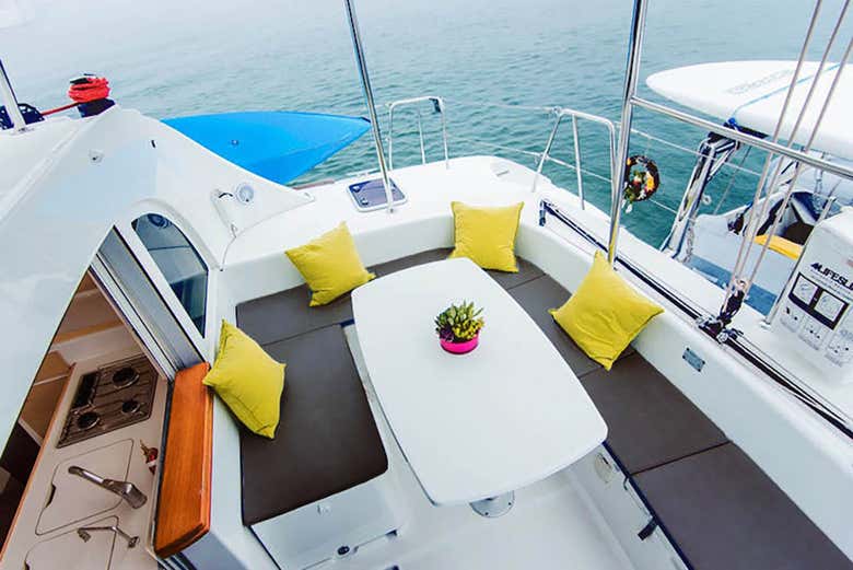 El catamarán cuenta con una confortable cabina de mando.