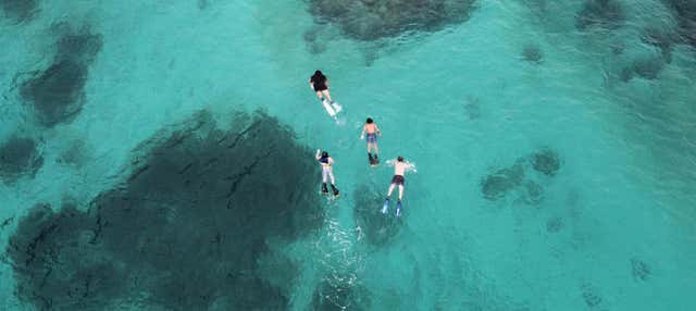 Snorkelling in Fajardo