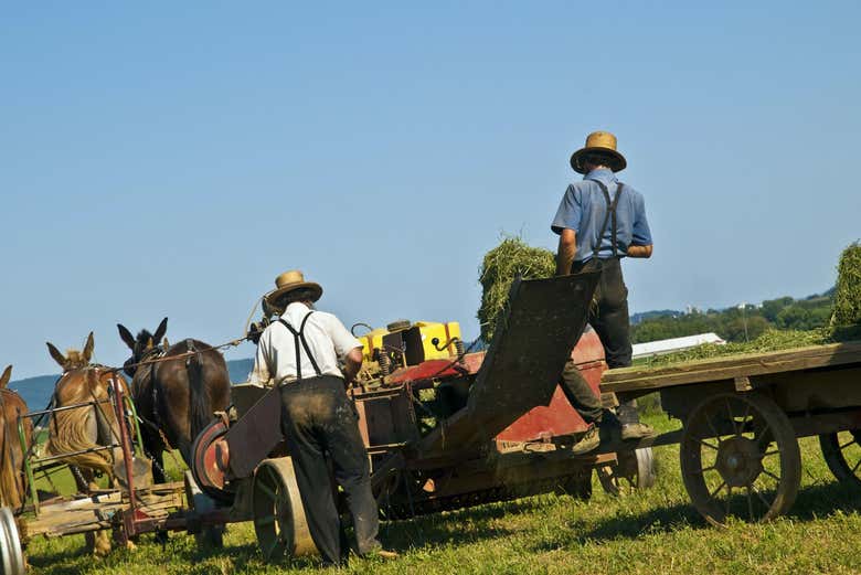 Conoceremos el estilo de vida de los Amish