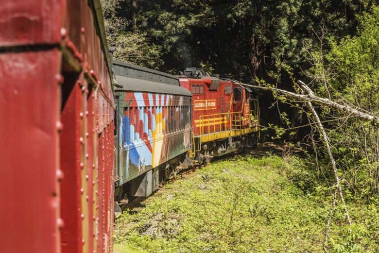 All aboard the Pudding Creek Express!