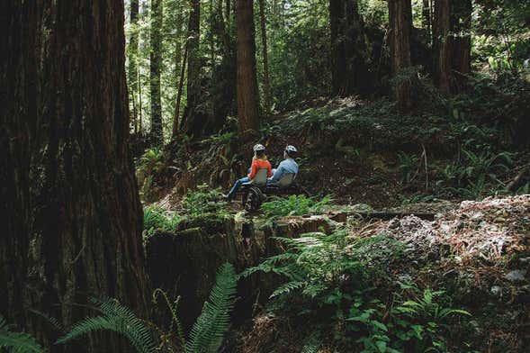 Fort Bragg Private Rail Bike Tour