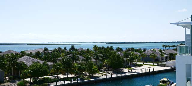 Excursion aux Bahamas