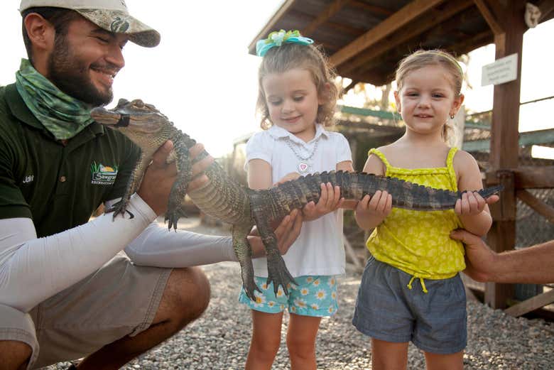Meeting the animals of the Everglades