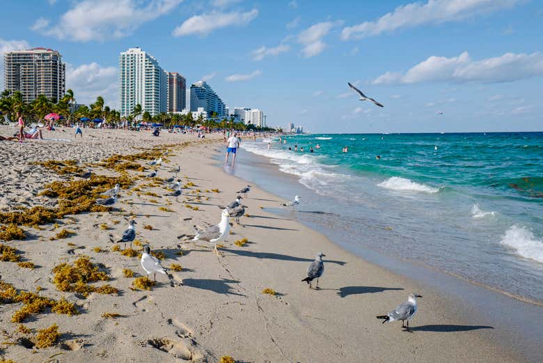 Spiaggia di Fort Lauderdale