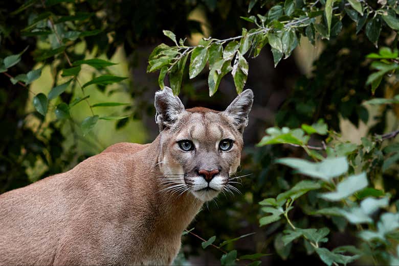 See all types of wildlife