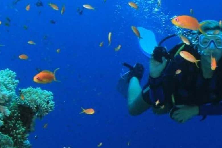 Snorkel en Cayo Hueso