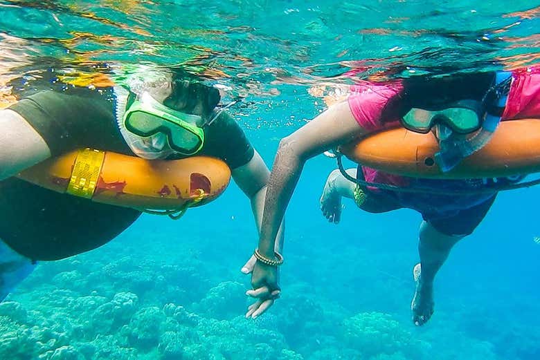 Snorkeling à Key West