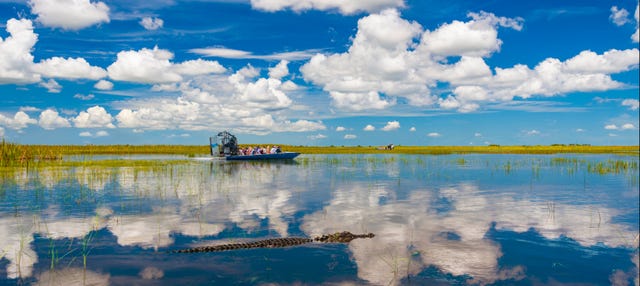 Passeio de airboat pelos Everglades