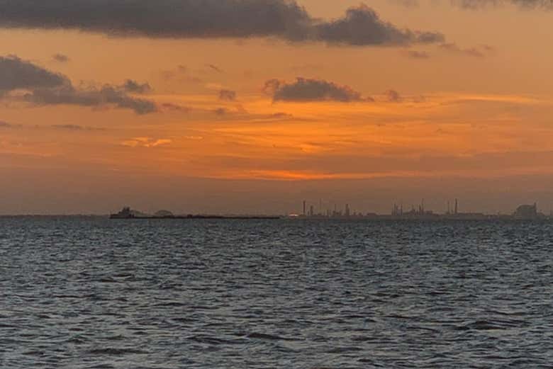 La lejana costa de Galveston durante el tour en barco