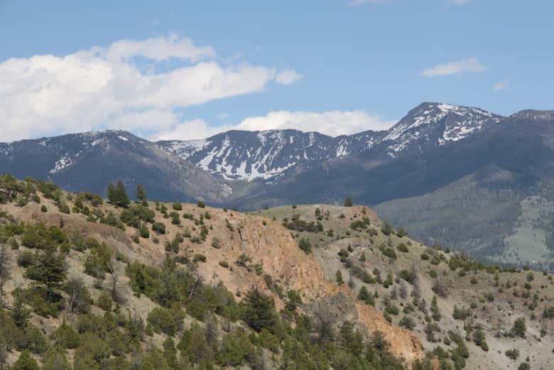 La natura di Yellowstone
