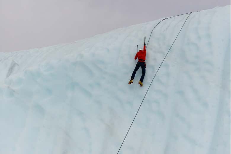 Na natureza selvagem do Alasca