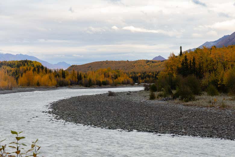 El río Matanuska se divide en múltiples canales entrelazados