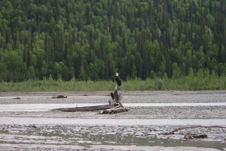 Contemplaremos la flora y fauna la zona
