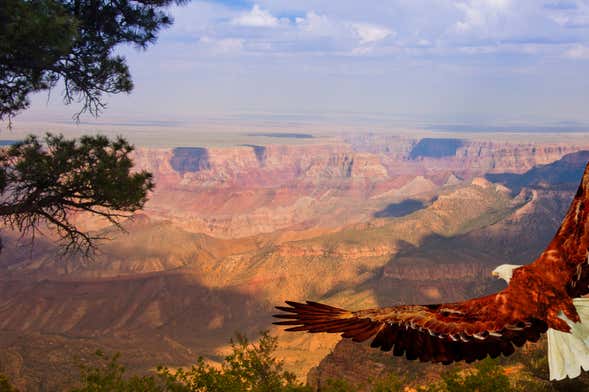 Ingresso do Grand Canyon West