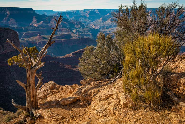 Paisagens desérticas do Grand Canyon West