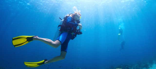 Introduction to Scuba Diving in Honolulu