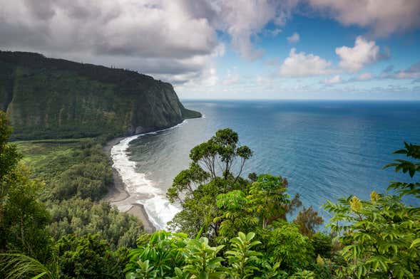 Excursión al Parque Nacional de los Volcanes de Hawái en avión