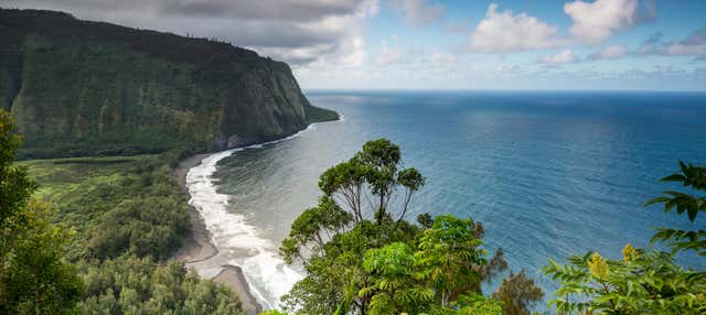 Excursión al Parque Nacional de los Volcanes de Hawái en avión