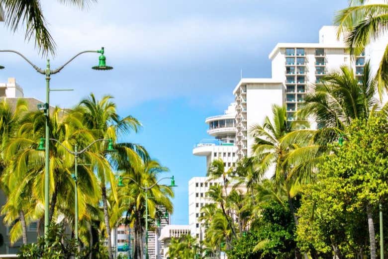 Durante a visita guiada por Waikiki