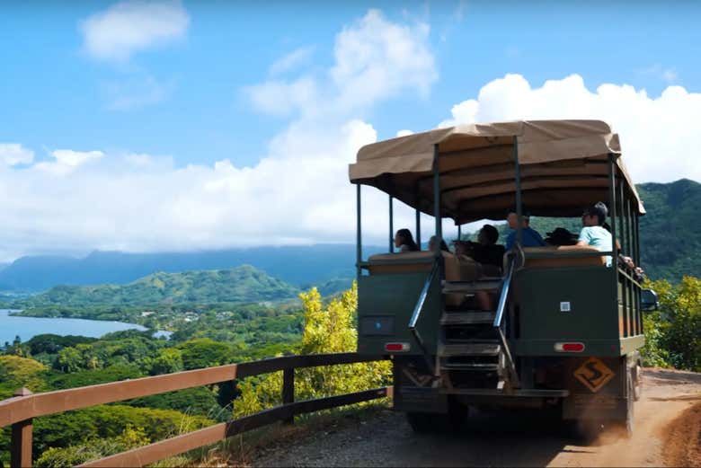 Admirando los paisajes costeros de Oahu desde el camión safari