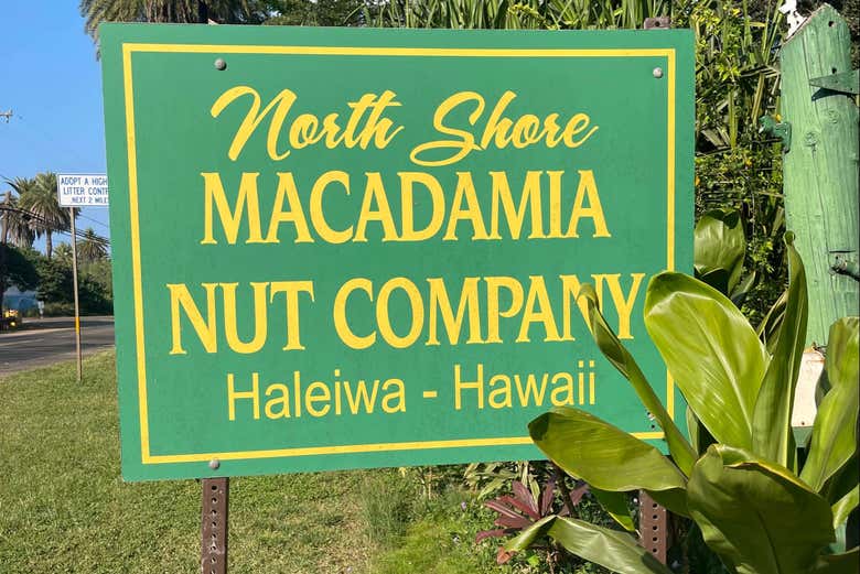 La plantación de nueces que visitaremos