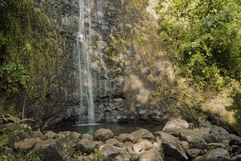 Cascada de Manoa