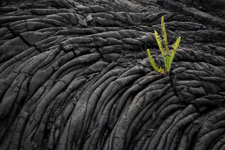 Lava solidificada
