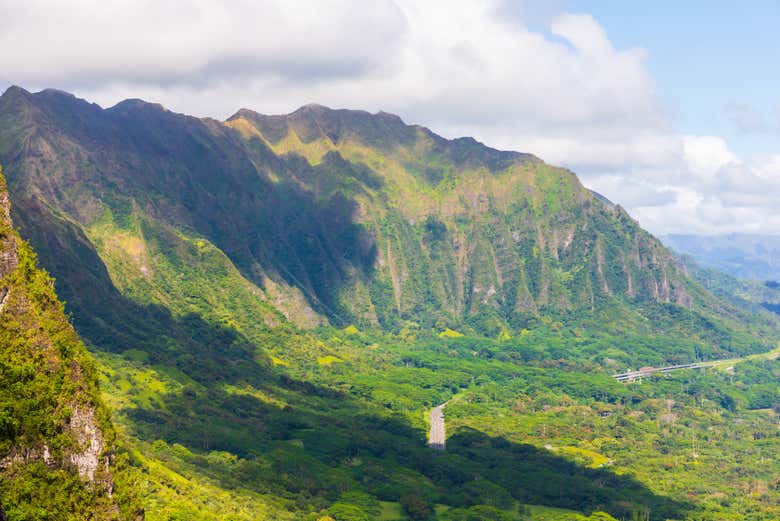 Disfrutando del paisaje de Honolulu