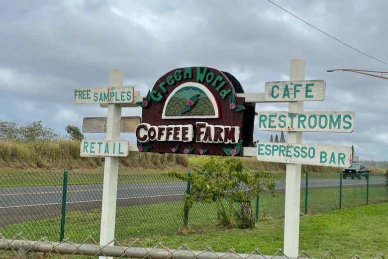 Visit a coffee farm!