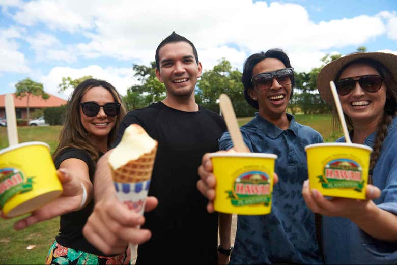 Degustação de sorvete Dole Whip