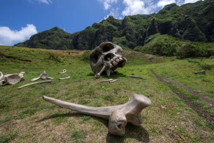 Decorados reales de Kong: Isla Calavera