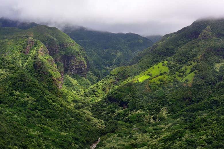 Take in the Hanapepe Valley and all its natural beauty