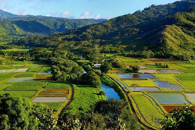Bela paisagem do Vale Hanalei