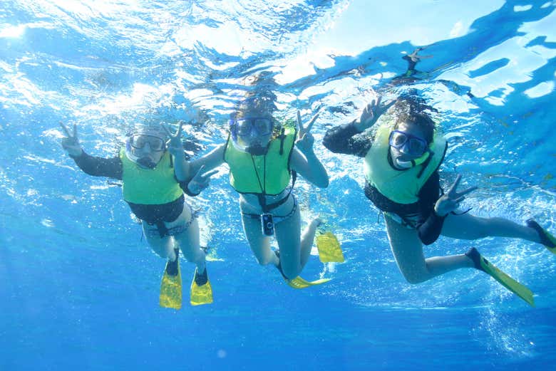 Fazendo snorkel em Honolulu