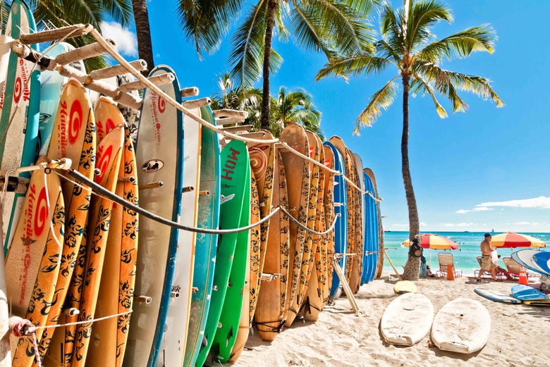 Tablas de surf en la playa de Waikiki