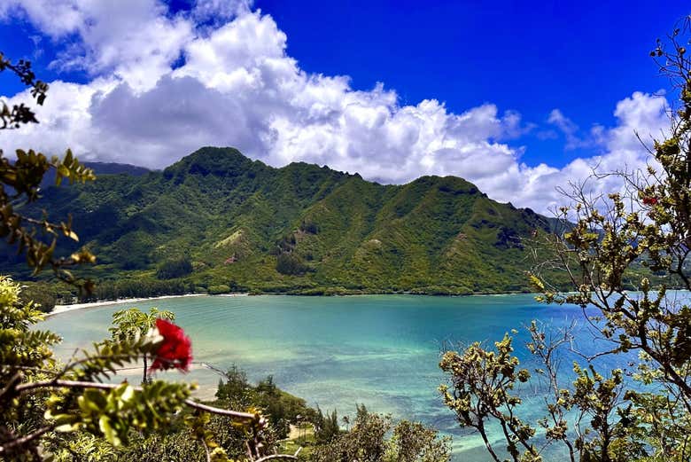 Você ficará impressionado com as paisagens de Oahu!