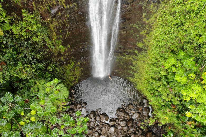 Contemplando a cachoeira de Manoa