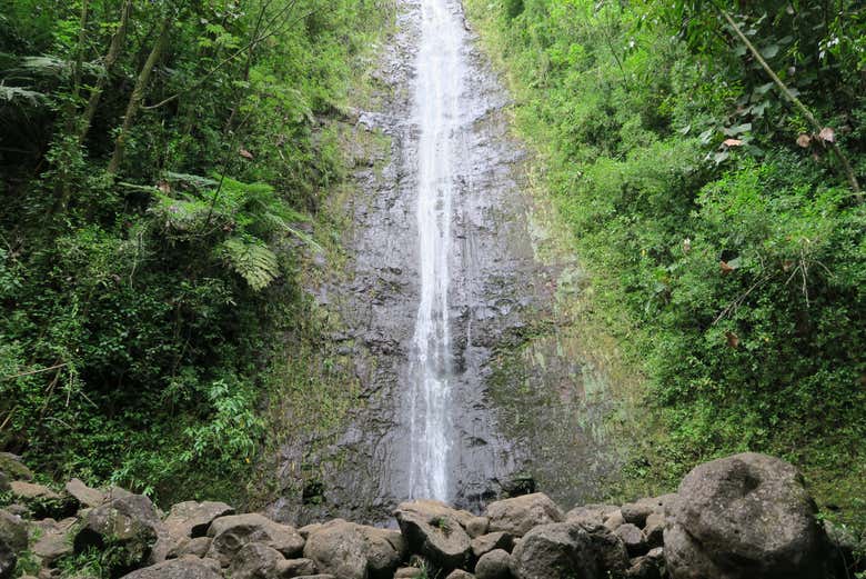 Visitando a cachoeira de Manoa