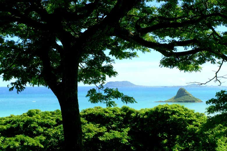 Admirando la isla Mokoliʻi durante el tour