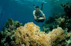 Power snorkeling a Waikiki
