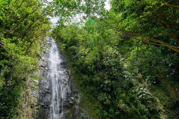 Excursión a la cascada de Manoa