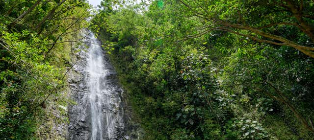 Excursión a la cascada de Manoa
