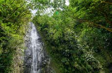 Excursion à la cascade de Manoa
