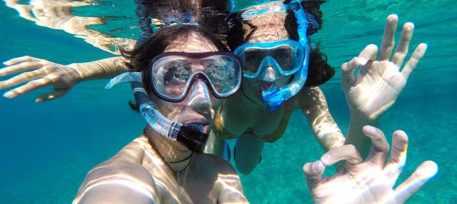 Snorkel o buceo en Honolulu
